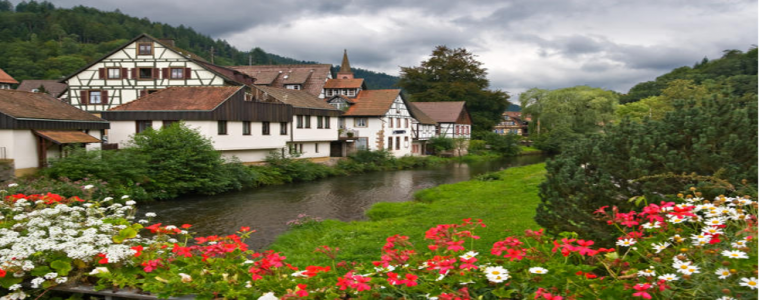 THE BLACK FOREST