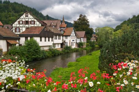 Black-forest